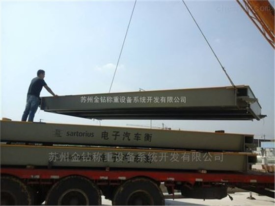 賽多利斯汽車(chē)衡13