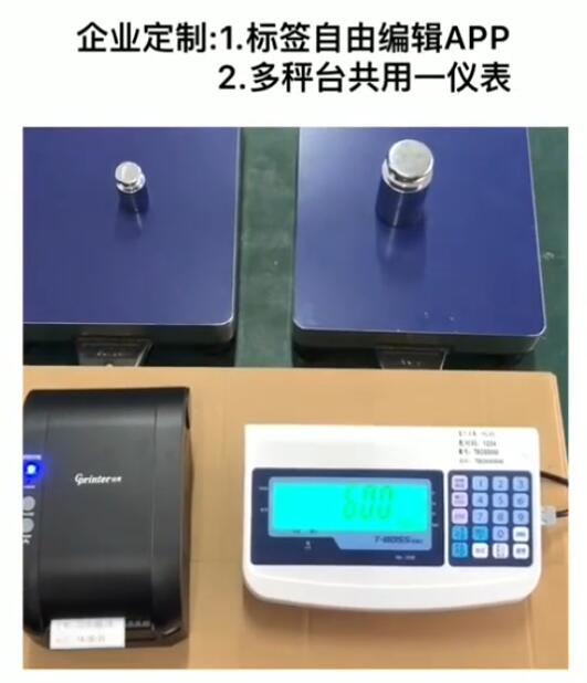 金搏仕多臺(tái)秤共用一臺(tái)儀表